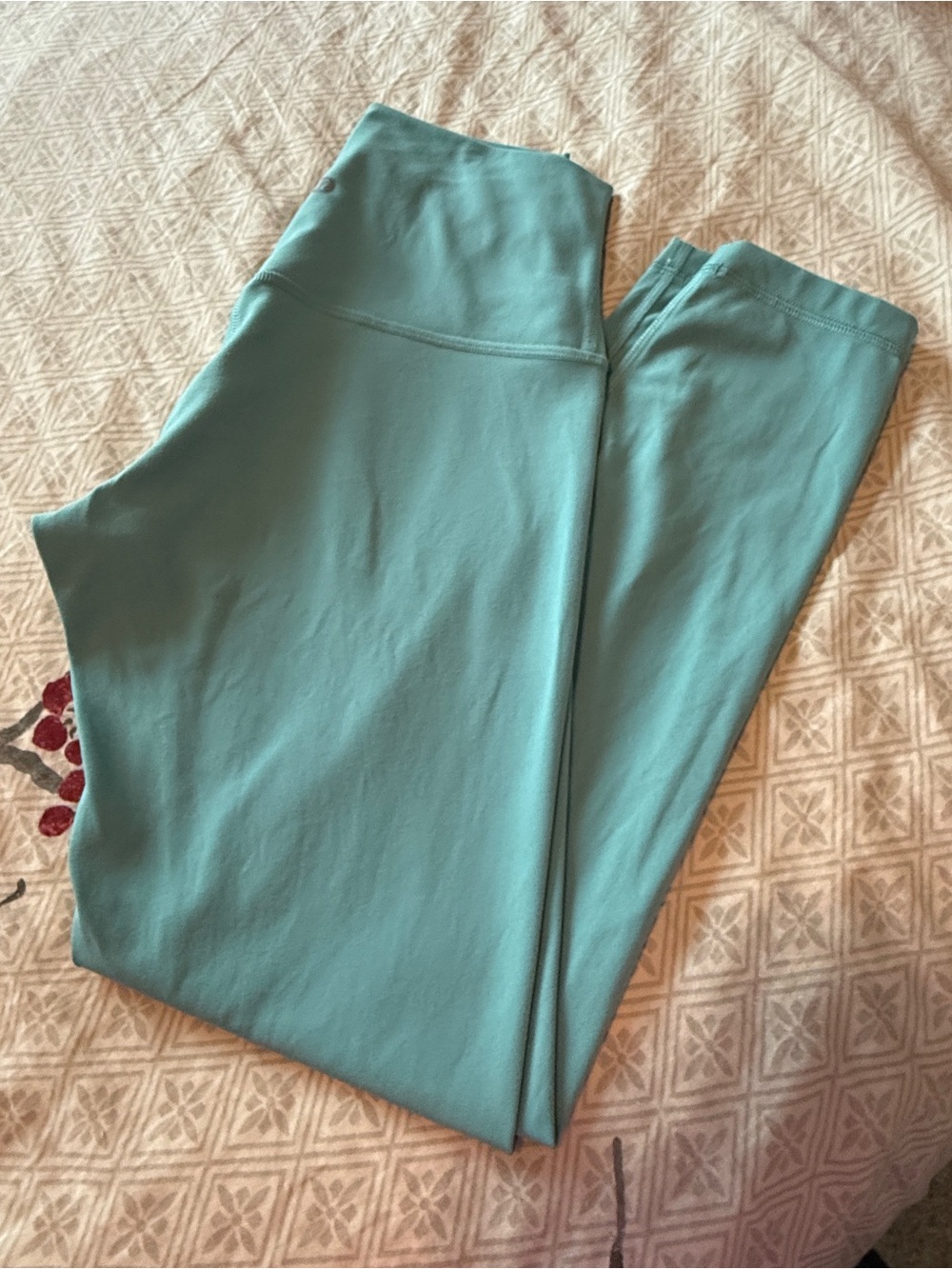 Lululemon  align High-Waist Tidal Teal  Leggings 25 inseam - size 6 EUC - great